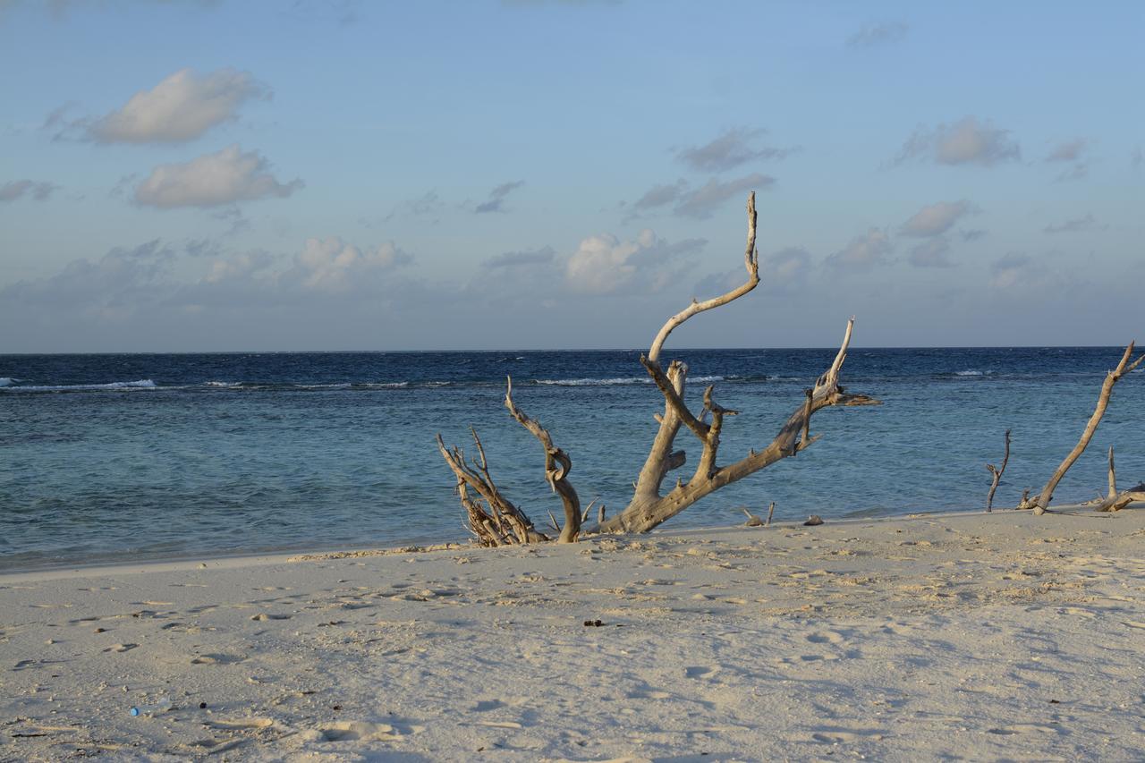 Noomuraka Inn Omadhoo Экстерьер фото